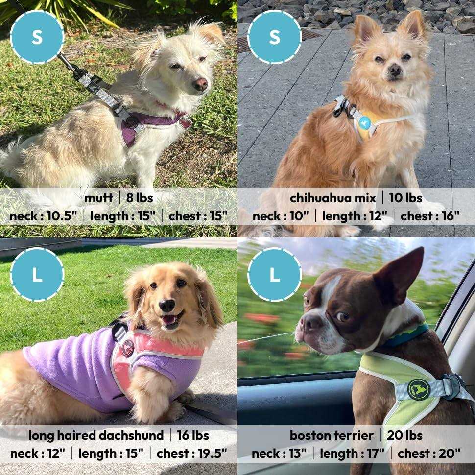 Step-In Dog Harness B455