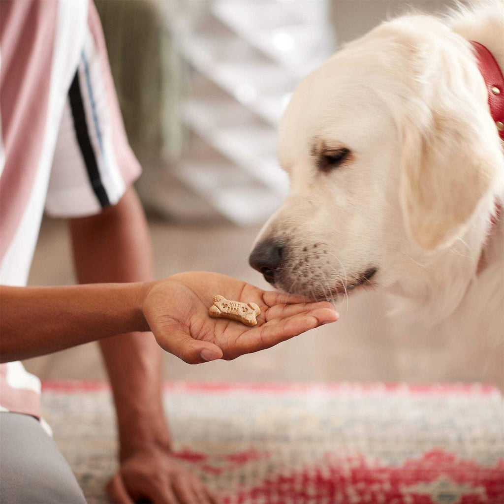 Dog Treats Q62706