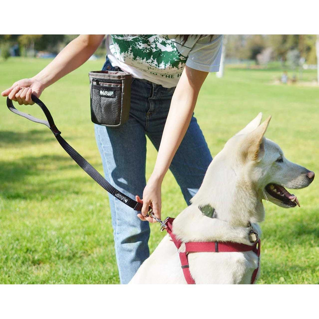 Short Dog Leash K520