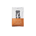 Salmon Recipe Adult Dry Dog Food U15616