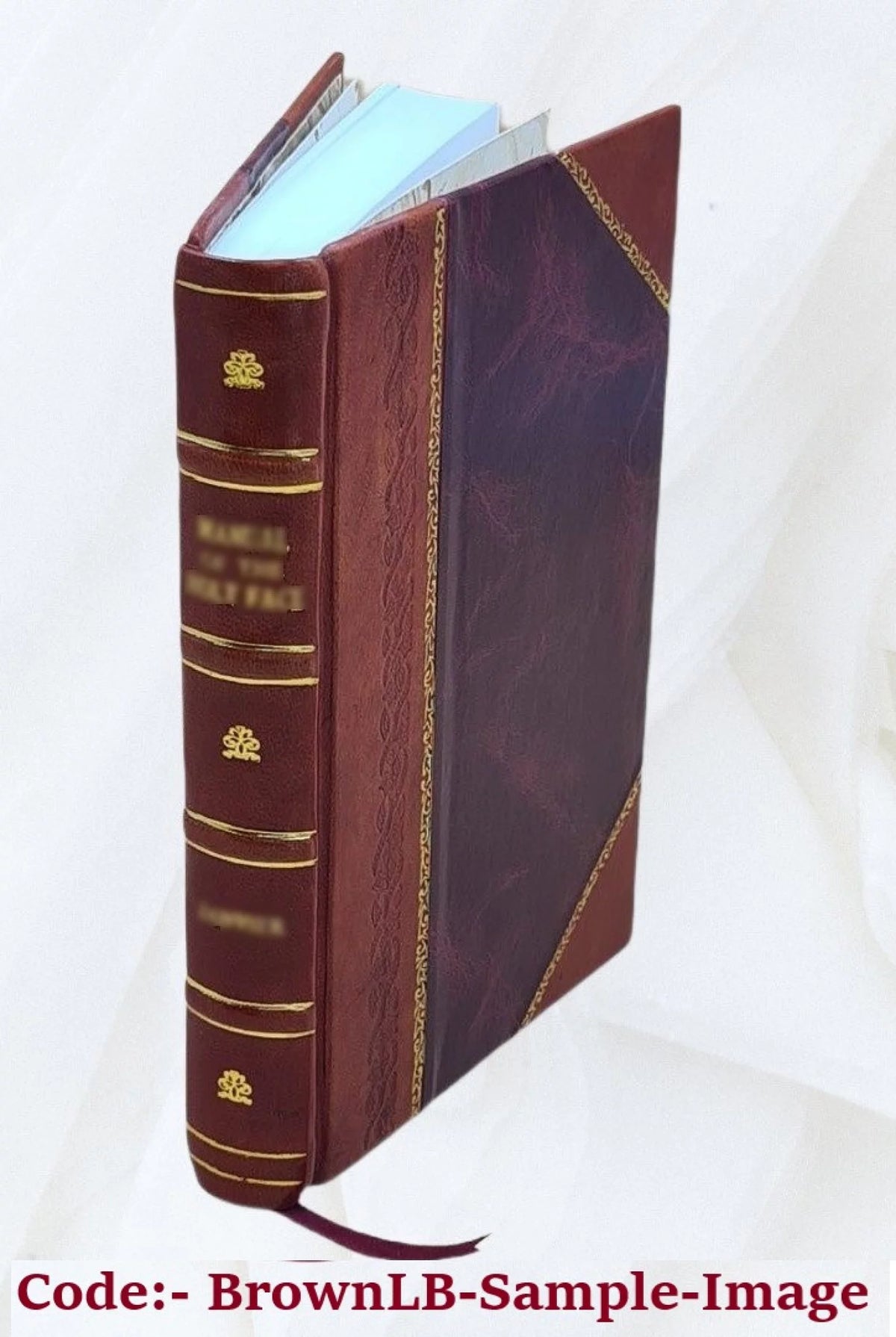 Leather Bound Tour Notes I875
