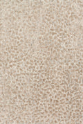 Ash Taupe 5' x 7'6 Rug X7953