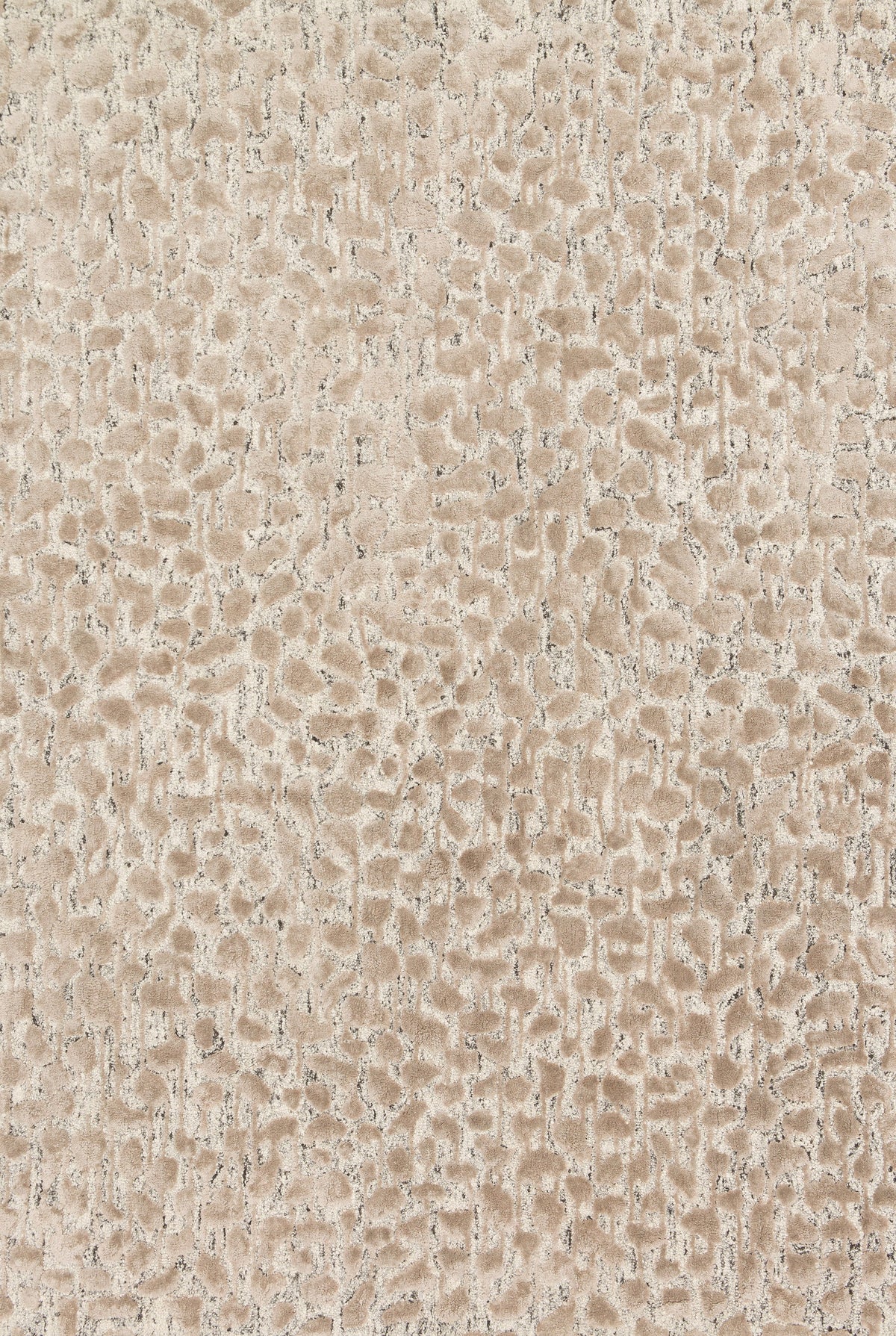 Ash Taupe 5' x 7'6 Rug X7953