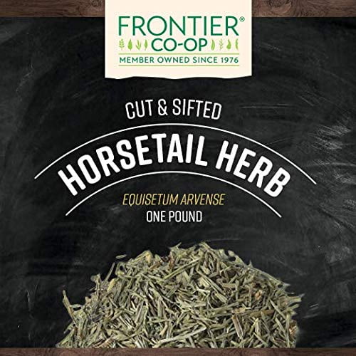 Horsetail Herb Cut & Sifted 1 lb Z648101