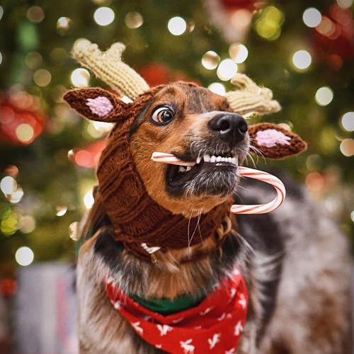 Knit Deer Antler Snood Wrap for Pets B27183