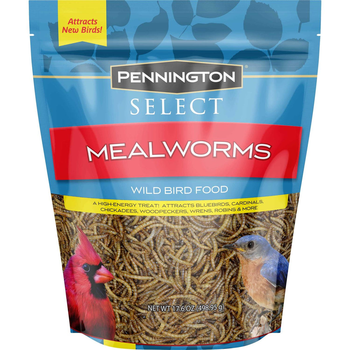 Mealworms Wild Bird Food O64741