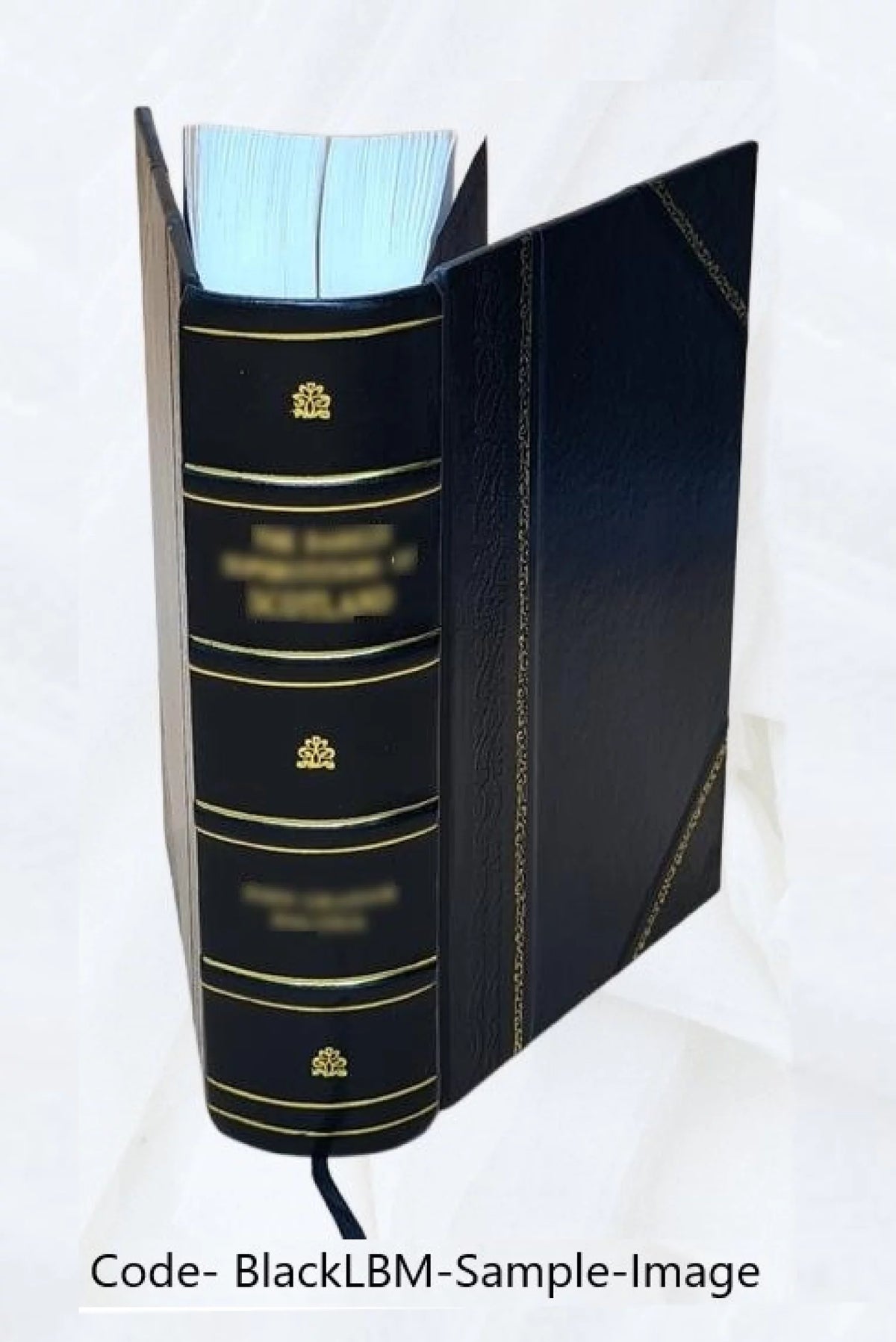 Leather Bound Book U40414