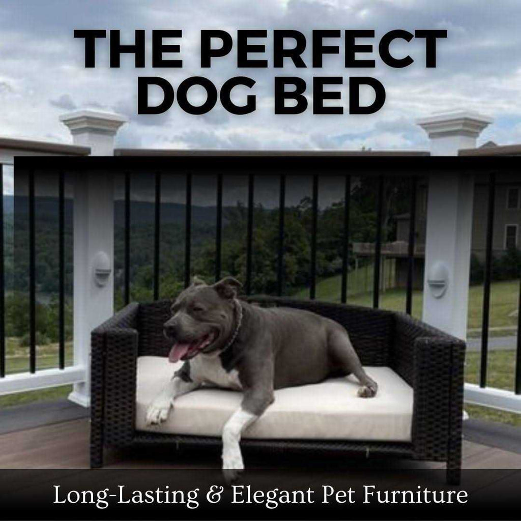 Rattan Rectangular Pet Sofa Y35108