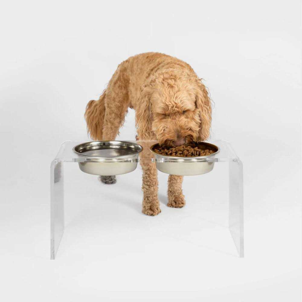 Clear Double Bowl Pet Feeder A388057