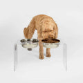 Clear Double Bowl Pet Feeder A388057