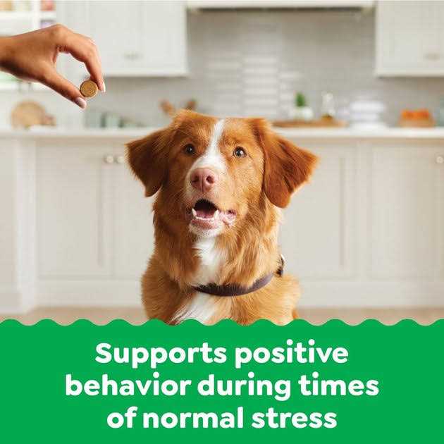 Calming Chews for Dogs Chicken Flavor X14225