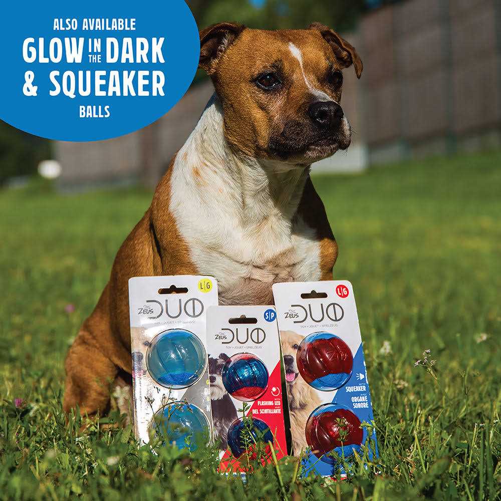 Dog Toy with Squeaker O590433