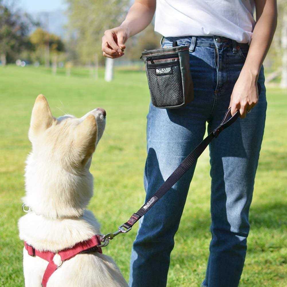 Short Dog Leash K520