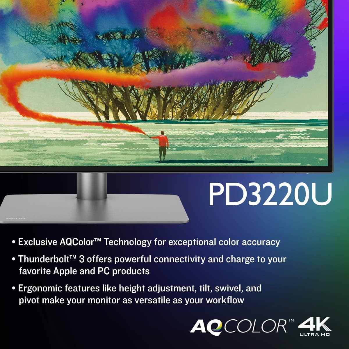 32 inch 4K IPS Monitor with Thunderbolt 3 U93633
