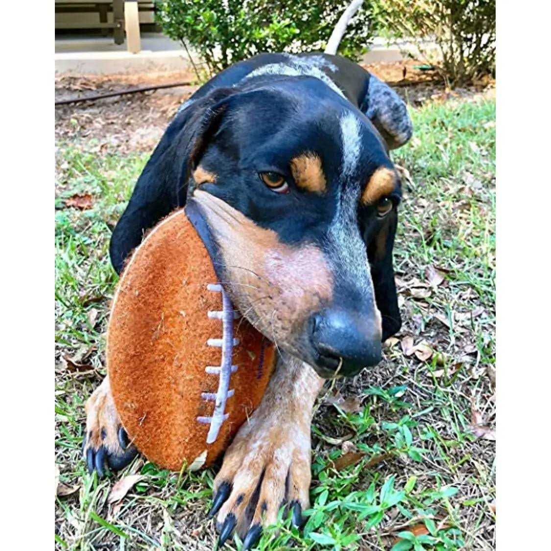 Dog Toy N8054