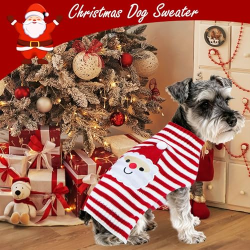3 Pack Dog Christmas Sweater X273