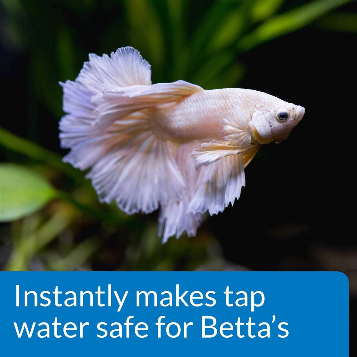 Betta Water Conditioner T2671