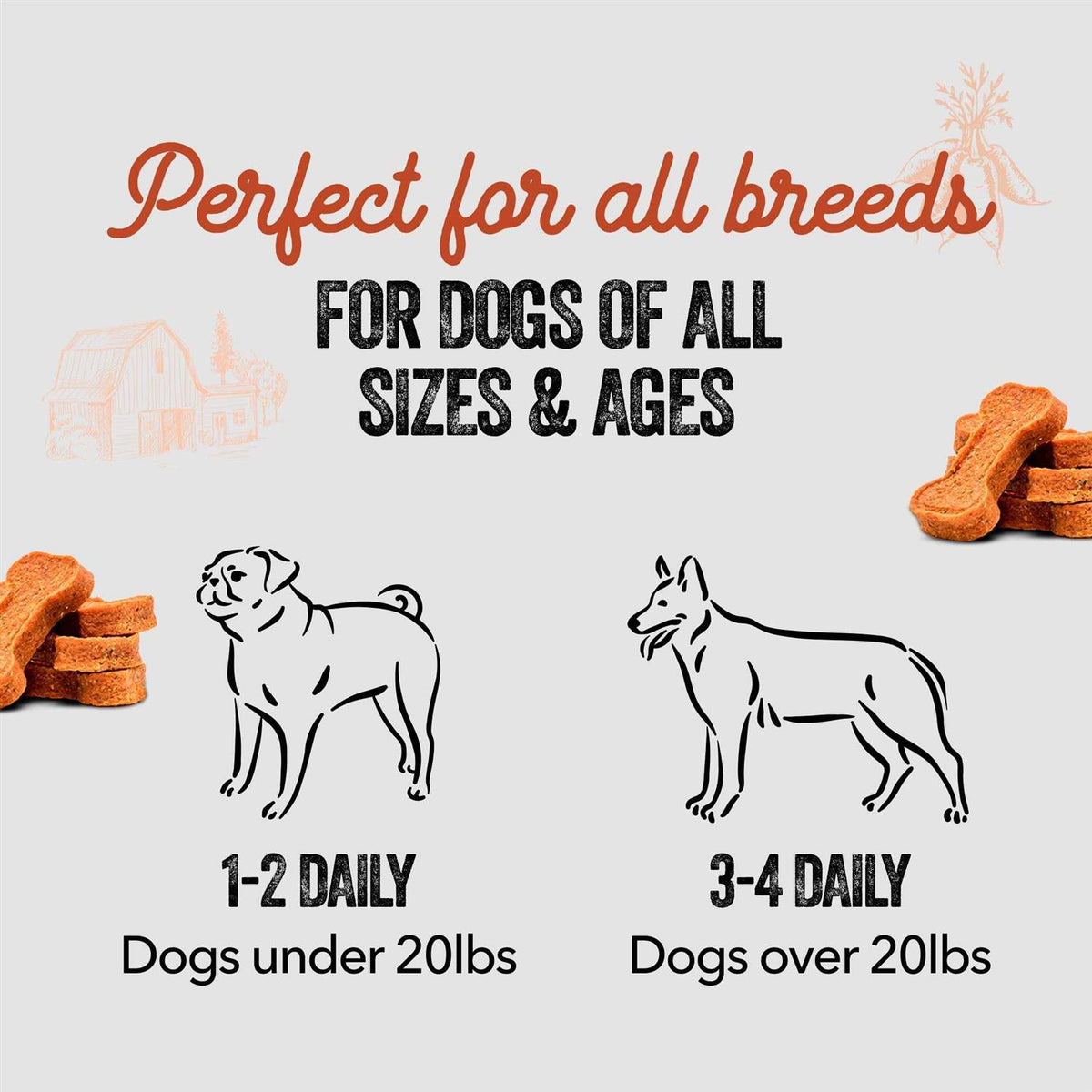 Sweet Potato Dog Bones S361458
