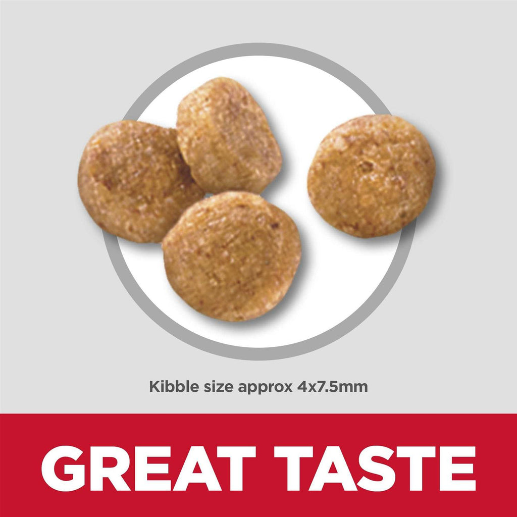 Chicken & Rice Recipe Dog Food S902311