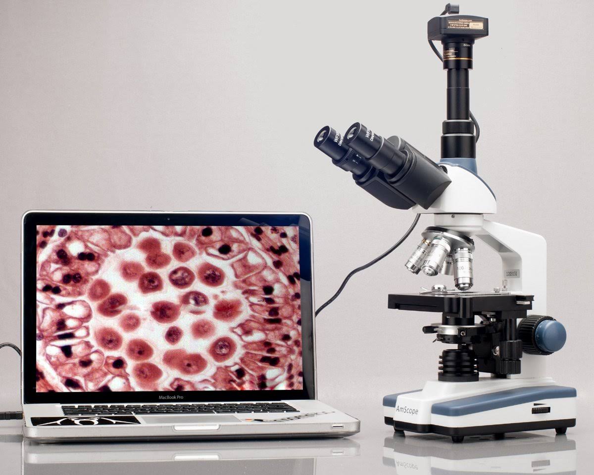 40X-1600X LED Trinocular Compound Microscope P8399