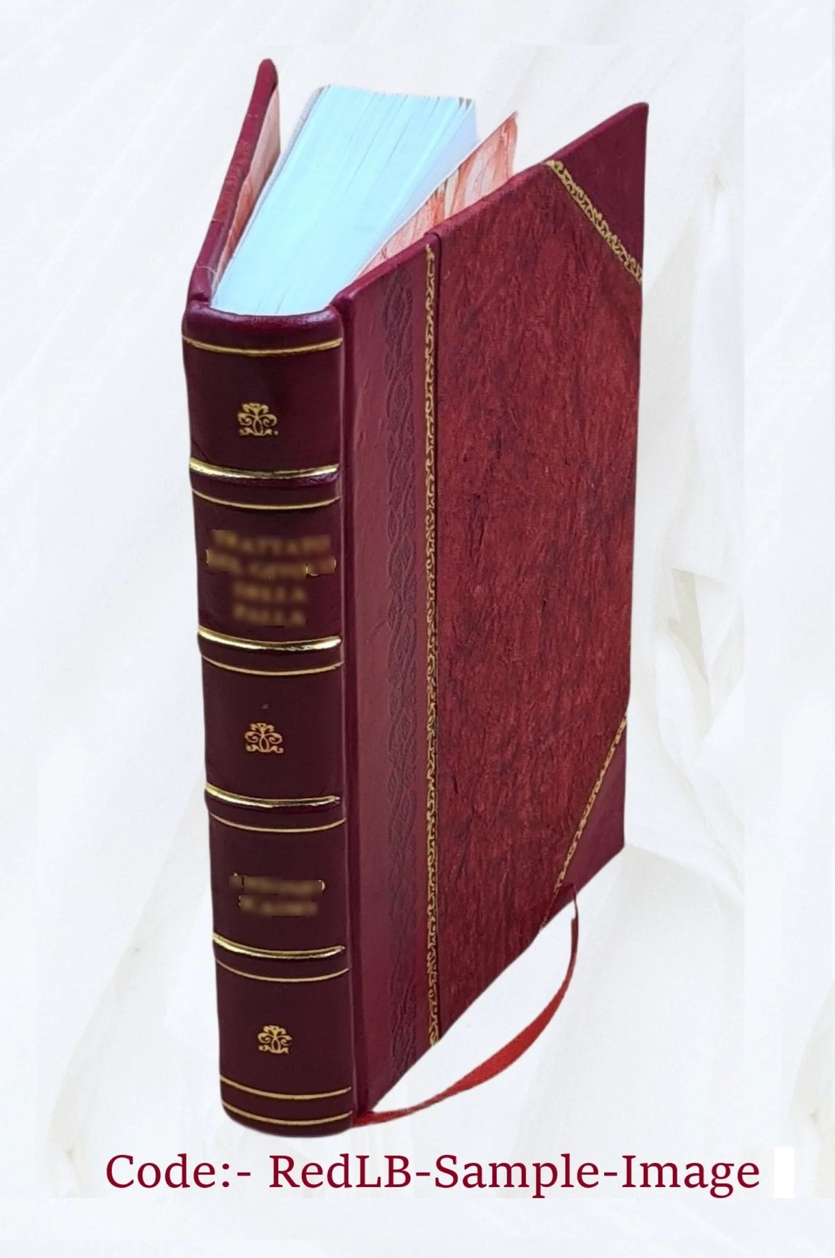 Leather Bound Tour Notes I875