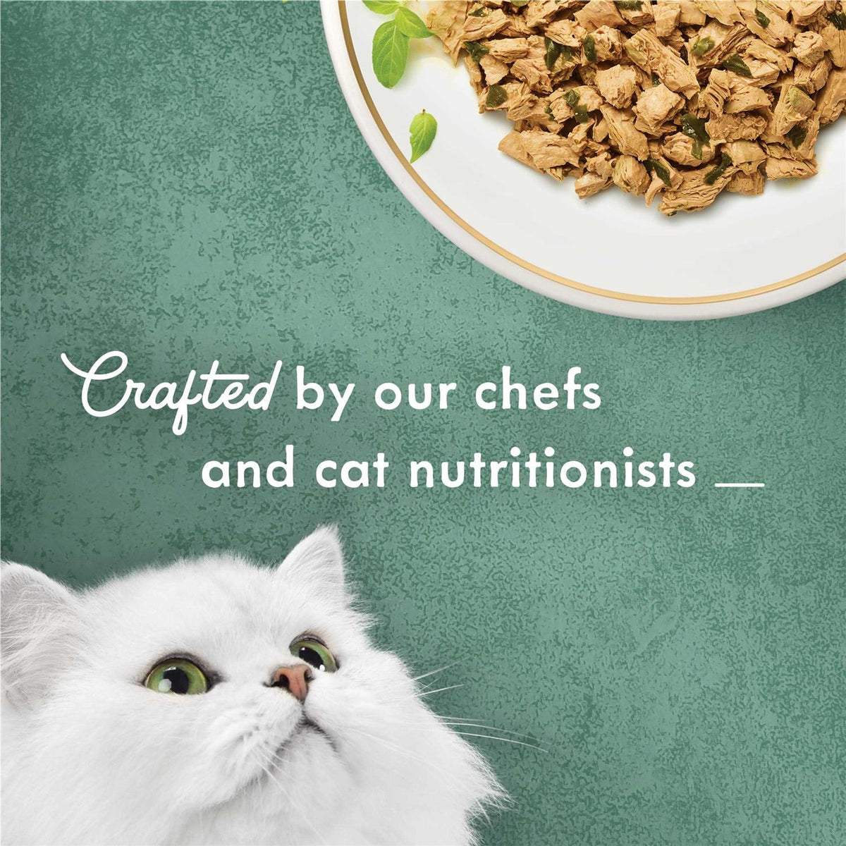 Shredded White Meat Chicken Wet Cat Food O7532