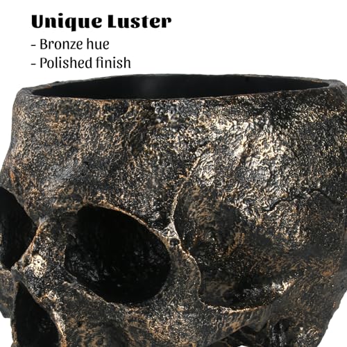 Extra Large Skull Candy Dish Bowl Holder Resin Decor S3589