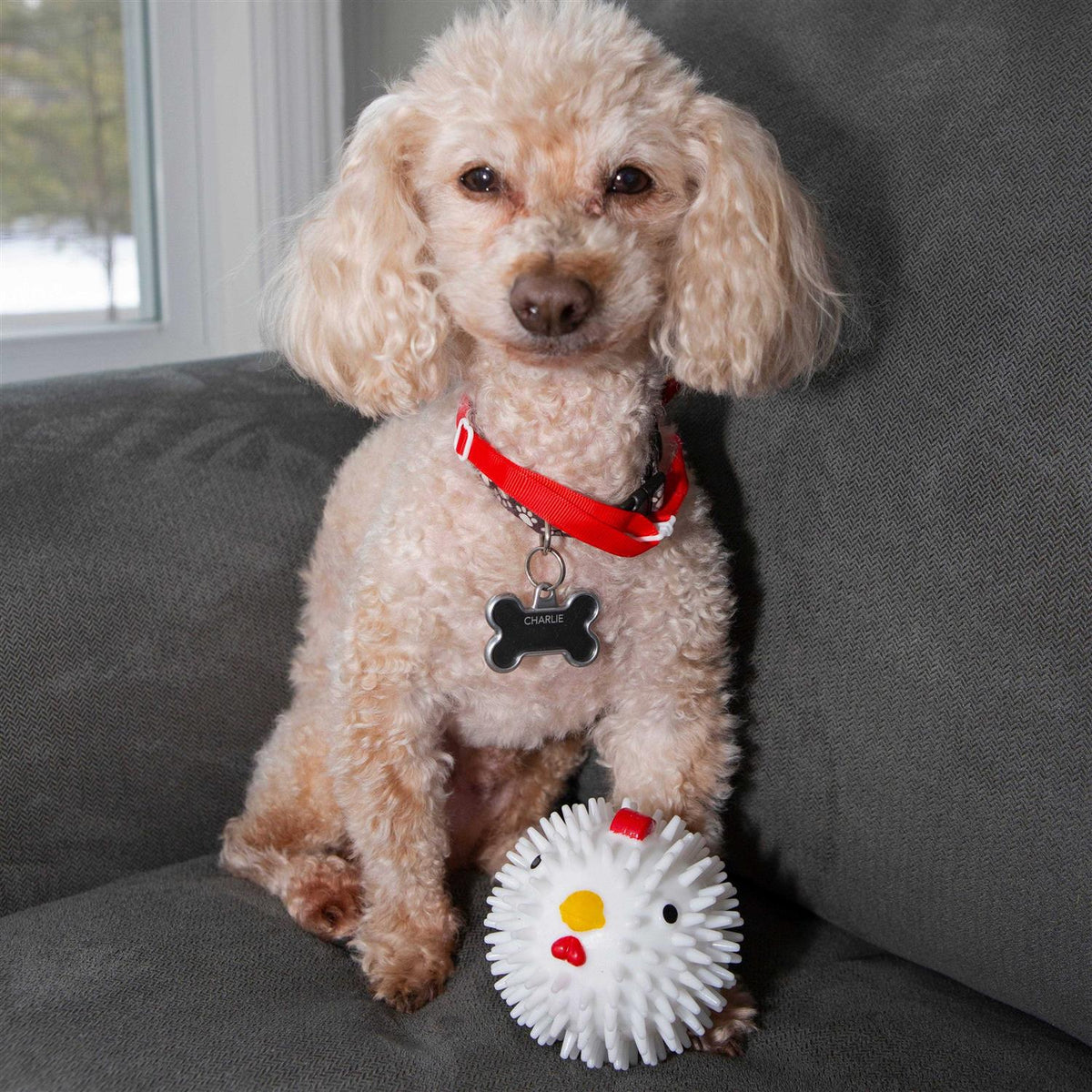 Chicken Dog Ball E4796