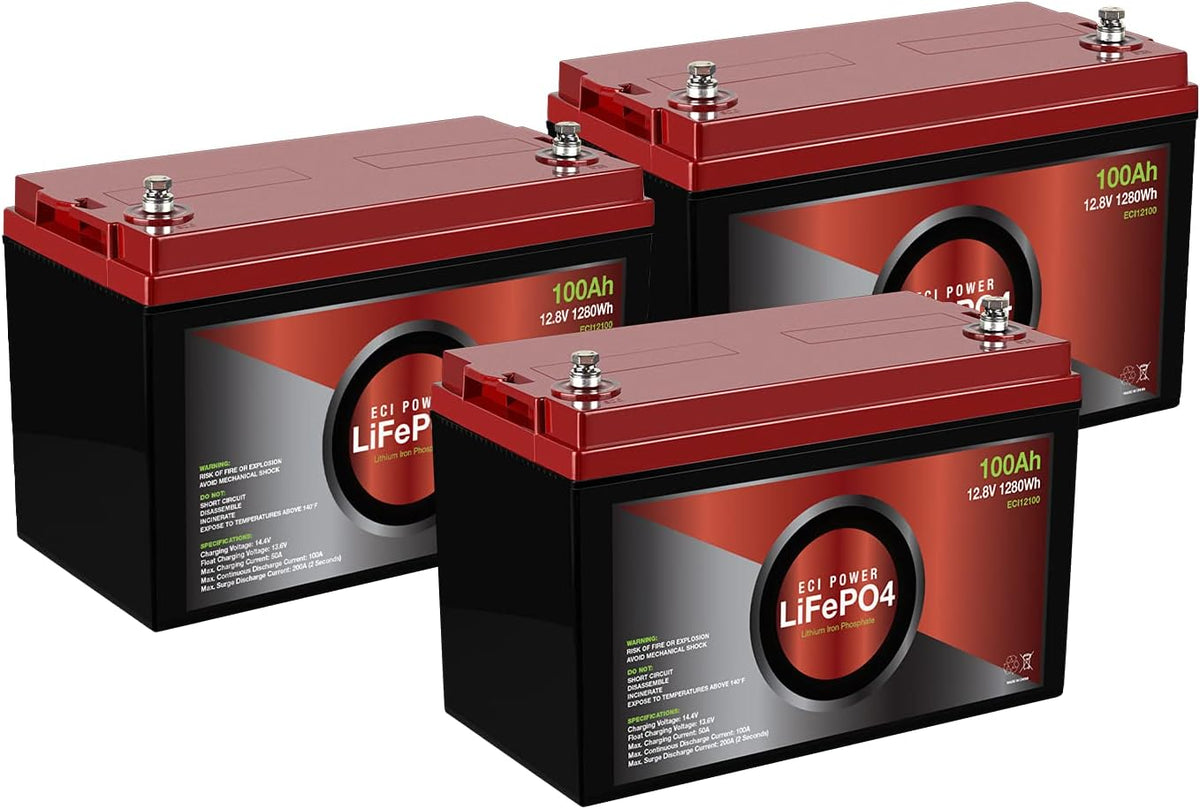 12V 100Ah Lithium LiFePO4 Deep Cycle Rechargeable Battery 2 Pack W3975