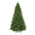 Camdon Fir I1613