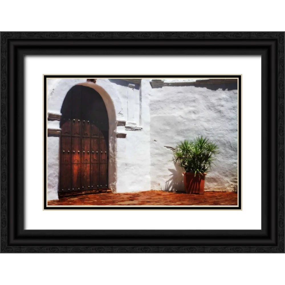 Black Ornate Wood Framed Art Print T464173
