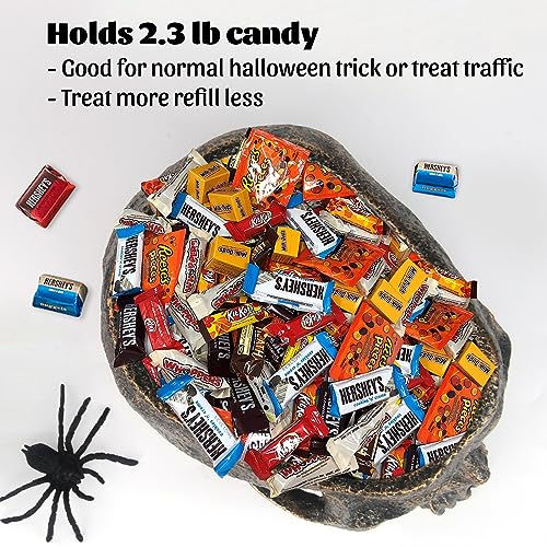 Extra Large Skull Candy Dish Bowl Holder Resin Decor S3589