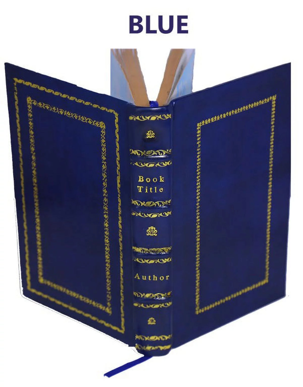 Memoirs of Walsingham Secretary of State 1695 Premium Leather Bound V1095