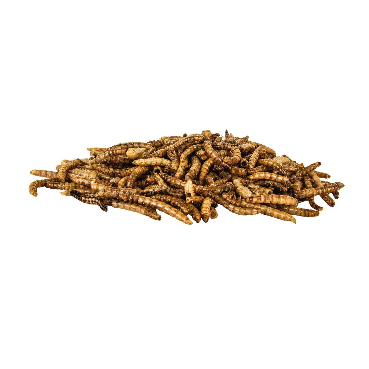 Mealworms Wild Bird Food O64741