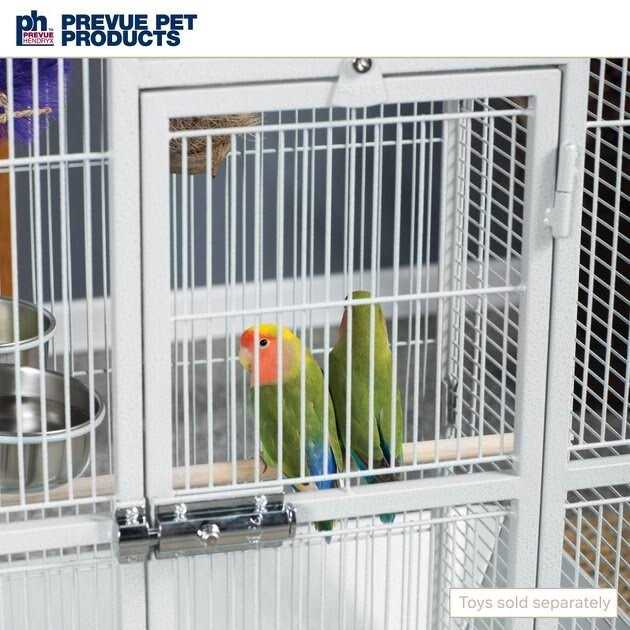 Bird Cage F558