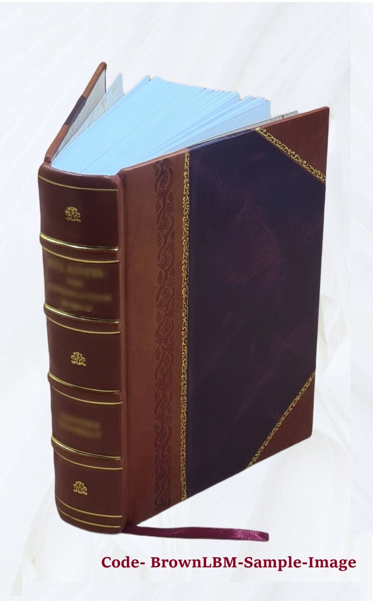 Leather Bound Book U40414