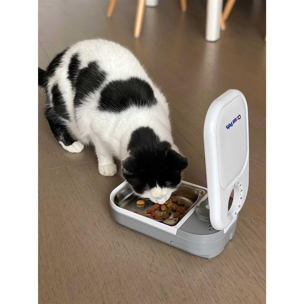 Automatic Timed Dog & Cat Feeder with Stainless Steel Bowl D9711