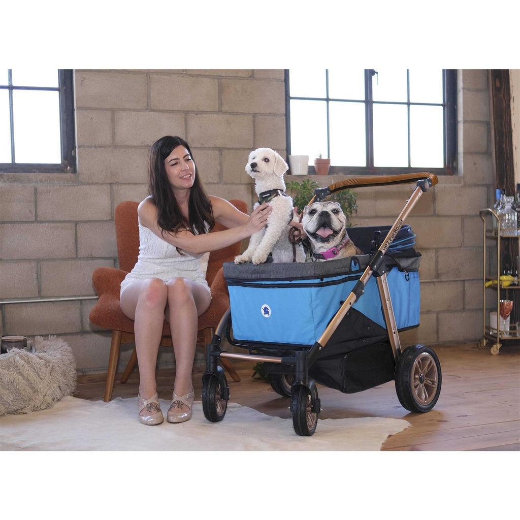Pet Stroller F200989
