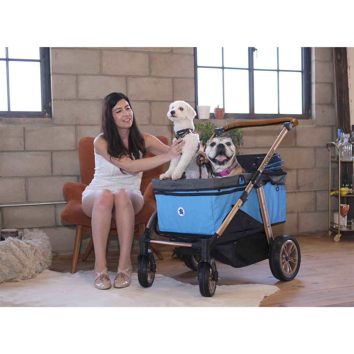 Pet Stroller F200989
