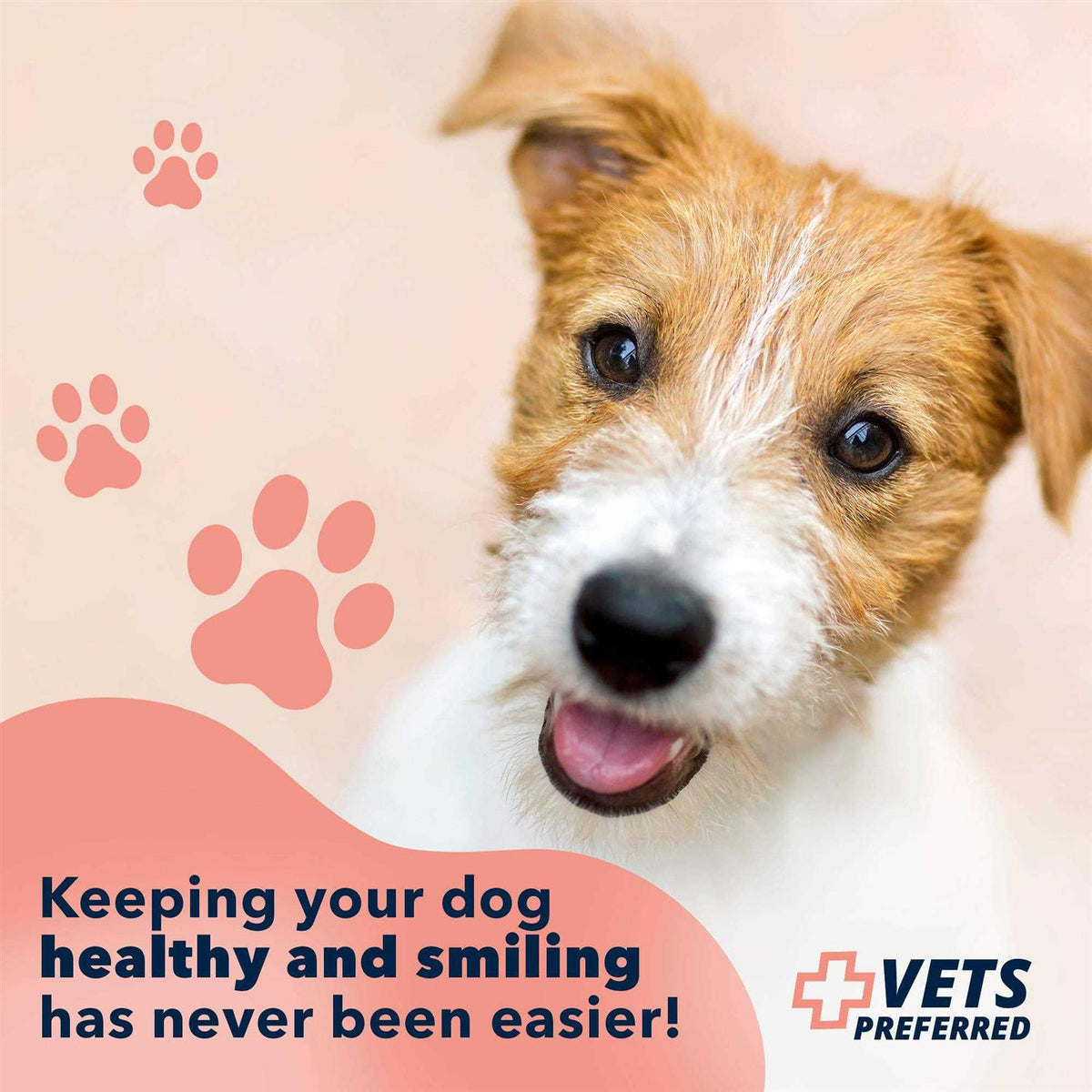 Advanced Oral Care Water Additive for Dogs U629606