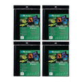 A2 Size Art Polyglass Pages 4-Pack H138338