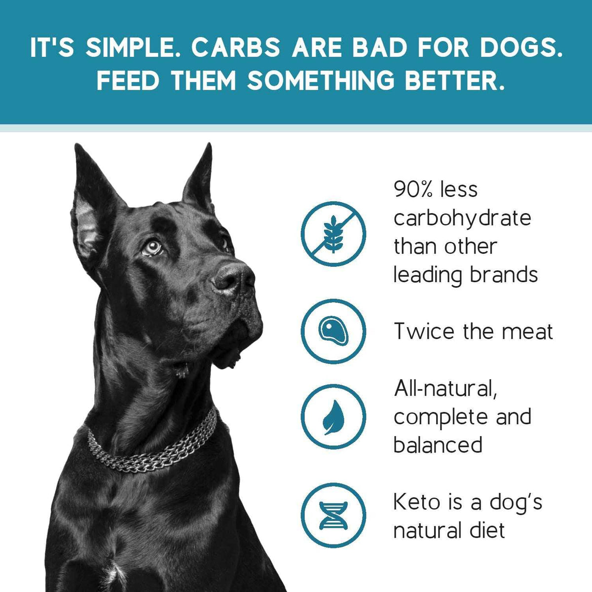 Salmon Recipe Adult Dry Dog Food U15616