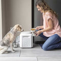 Pet Food Container Y485594