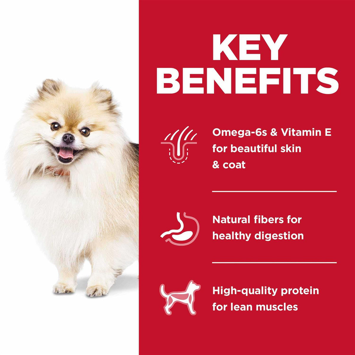 Dry Dog Food H6636