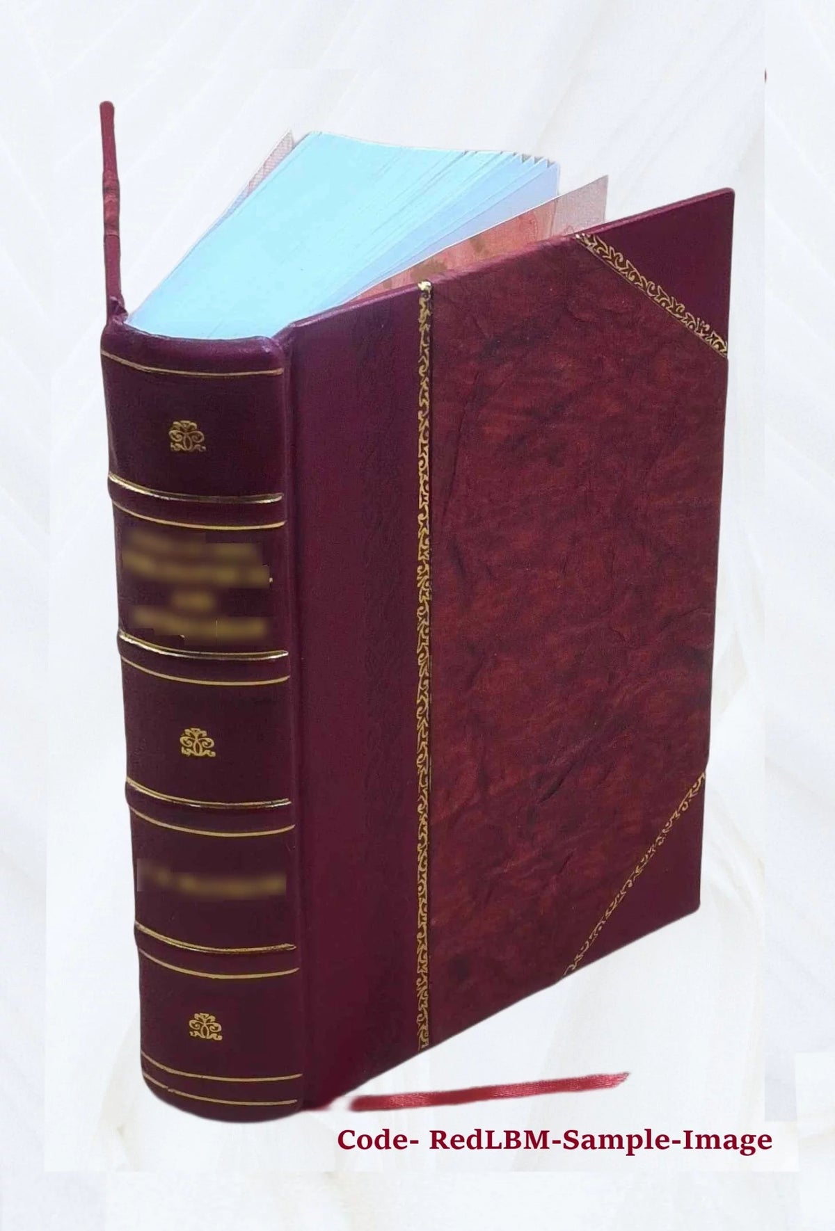 Leather Bound Book U40414