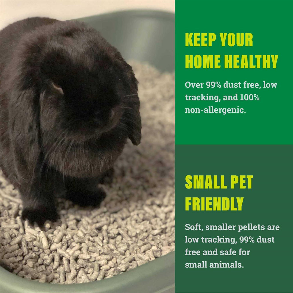Small Animal Litter W24731