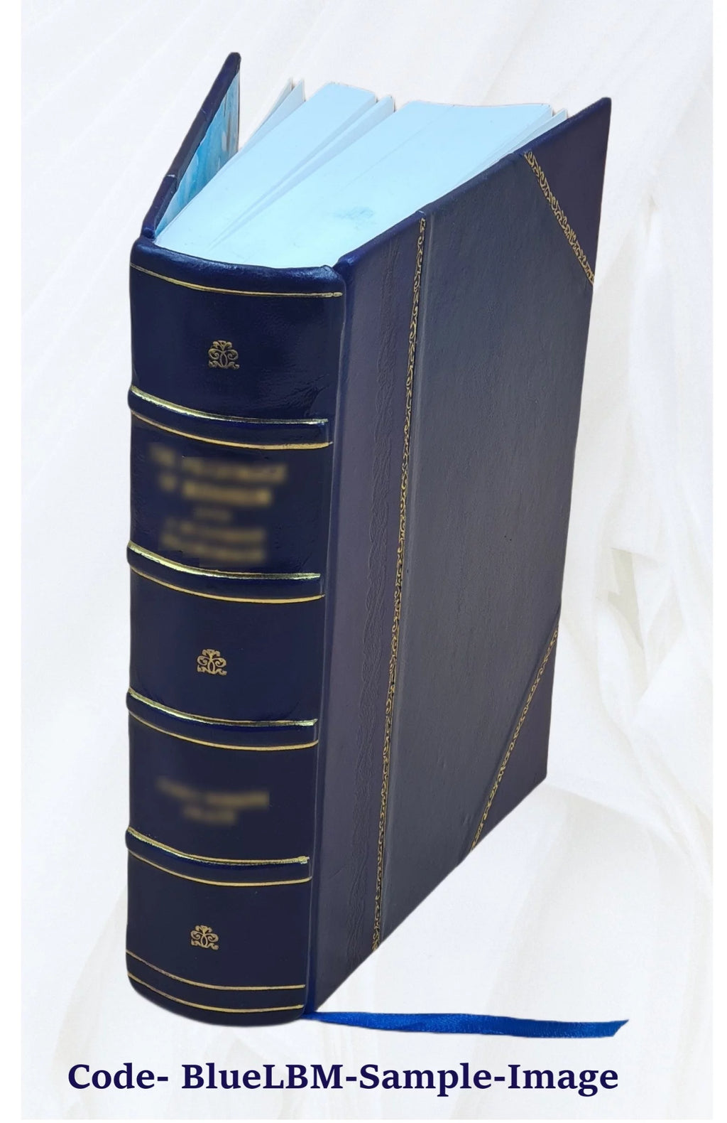 Nineteenth Ohio Battery Volunteer Artillery Leather Bound C849