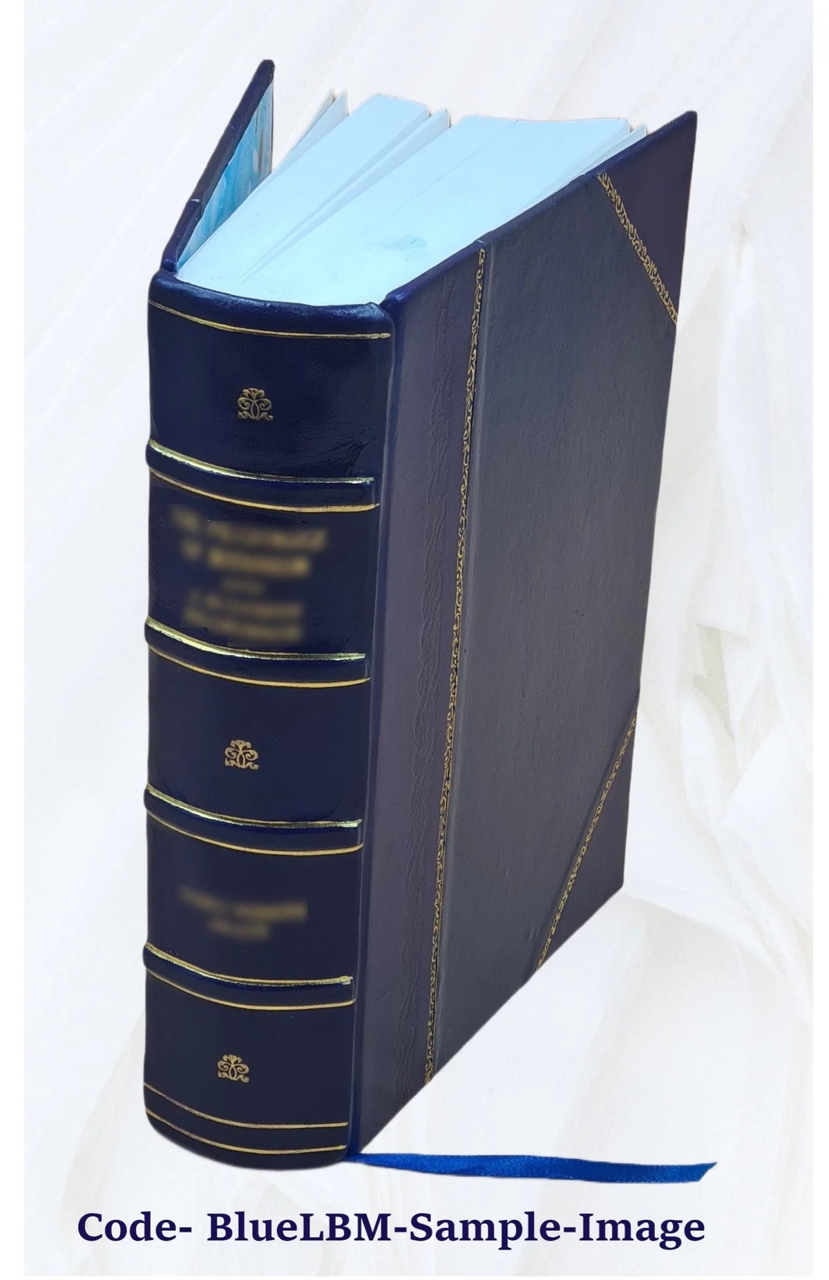 Nineteenth Ohio Battery Volunteer Artillery Leather Bound C849