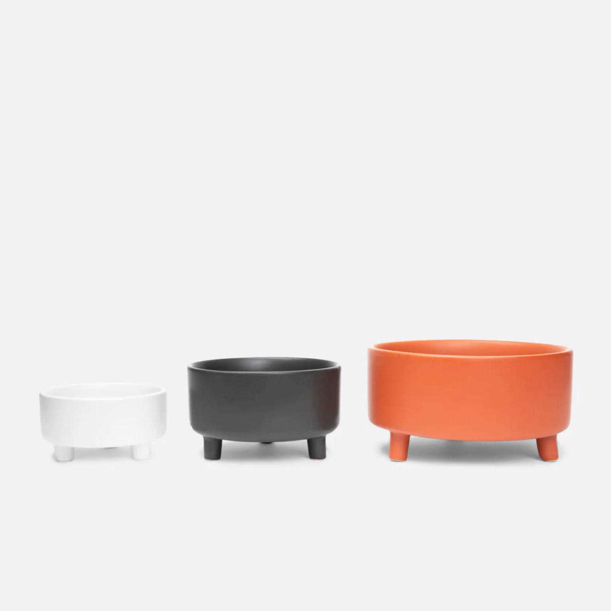 Ceramic Dog Bowl O445639