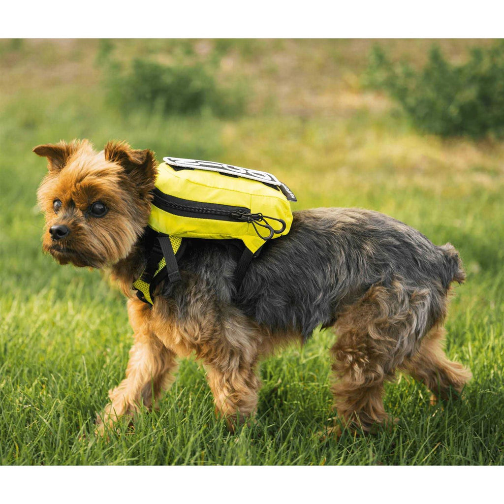 Sport Sack with Harness & Storage F64300
